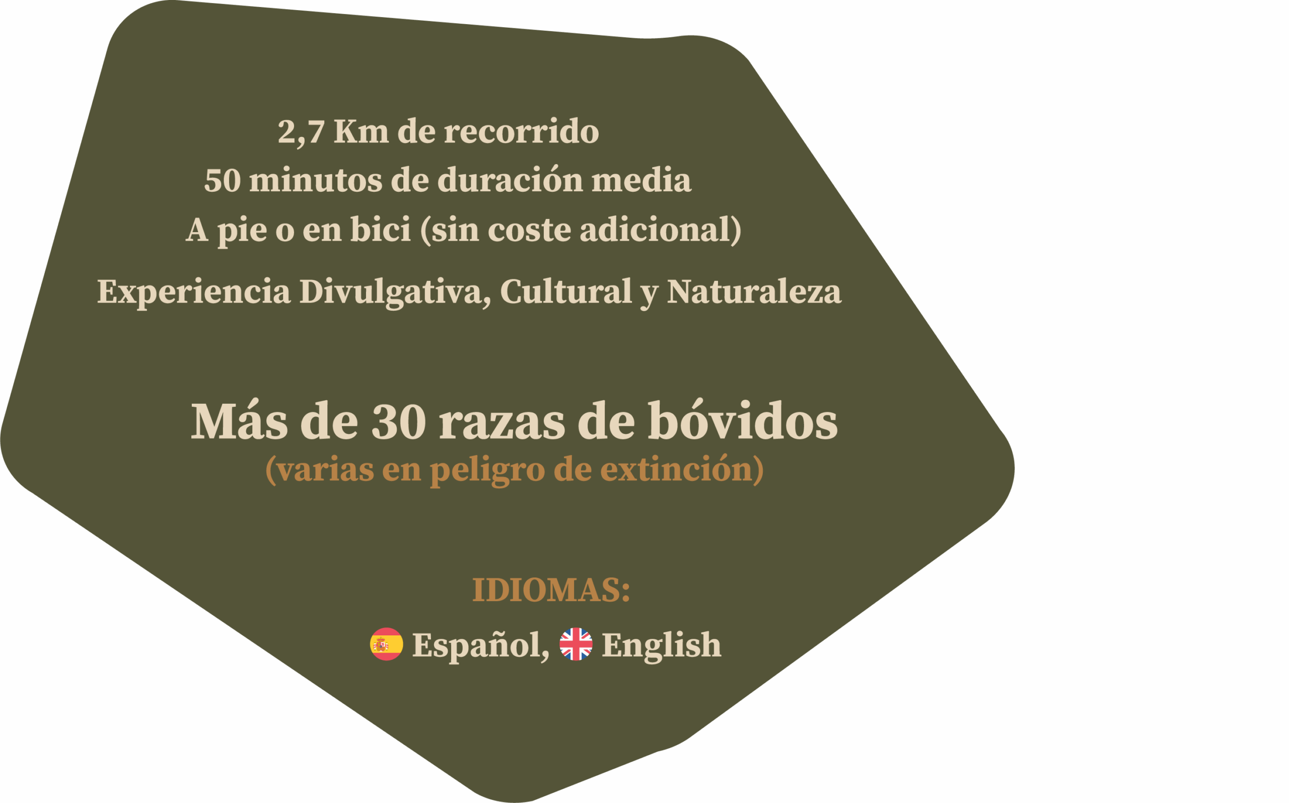 Información visita BOS Taurozos